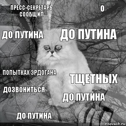 Пресс-секретарь сообщил тщетных до Путина до Путина попытках Эрдогана о до Путина до Путина дозвониться , Комикс  кот безысходность