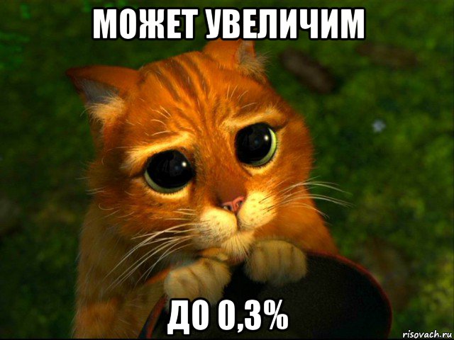 может увеличим до 0,3%, Мем кот из шрека