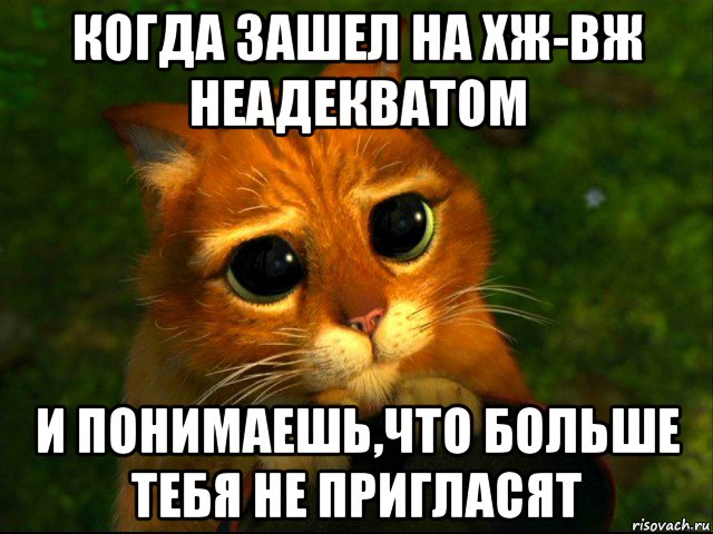 когда зашел на хж-вж неадекватом и понимаешь,что больше тебя не пригласят, Мем кот из шрека