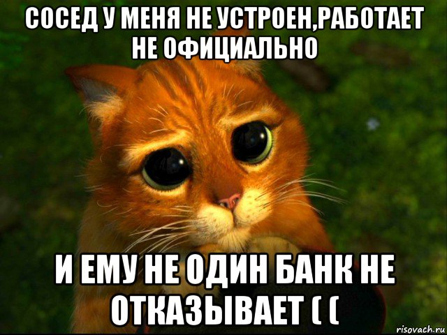 сосед у меня не устроен,работает не официально и ему не один банк не отказывает ( (, Мем кот из шрека