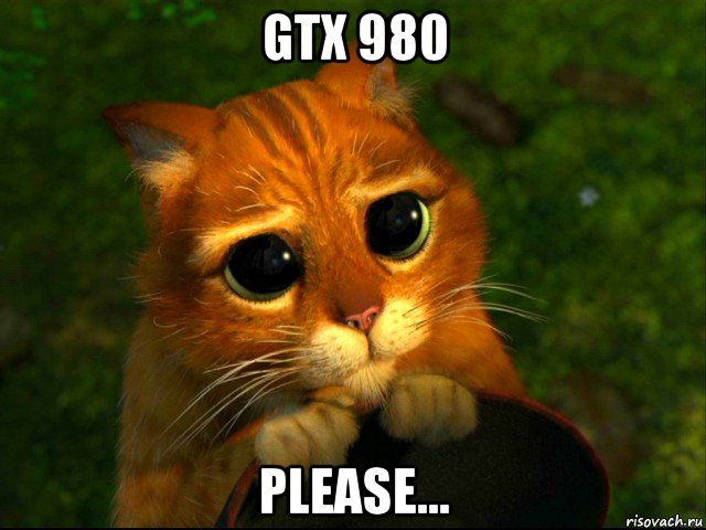 gtx 980 please..., Мем кот из шрека