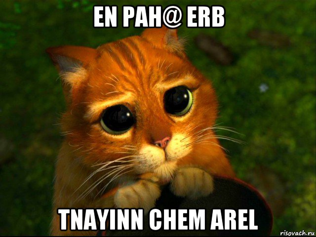 en pah@ erb tnayinn chem arel, Мем кот из шрека