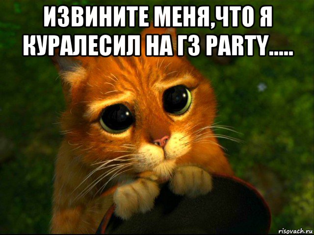 извините меня,что я куралесил на гз party..... , Мем кот из шрека