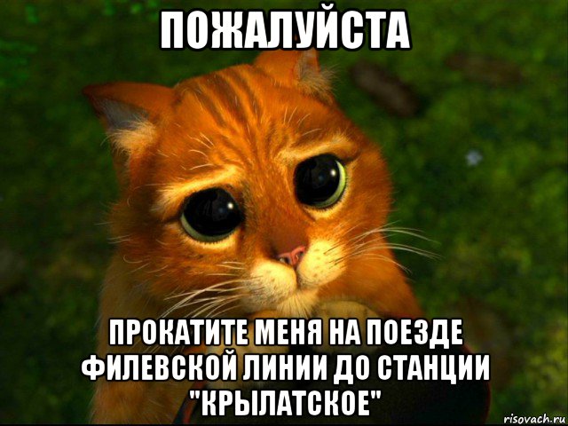 пожалуйста прокатите меня на поезде филевской линии до станции "крылатское", Мем кот из шрека