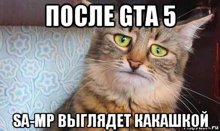 после gta 5 sa-mp выглядет какашкой, Мем  кот печаль