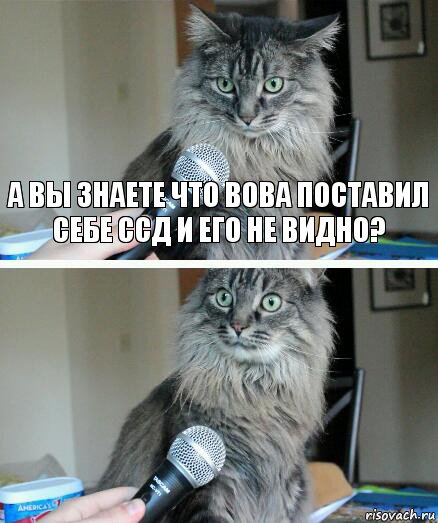 А ВЫ ЗНАЕТЕ ЧТО ВОВА ПОСТАВИЛ СЕбЕ ССД И ЕГО НЕ ВИДНО? , Комикс  кот с микрофоном