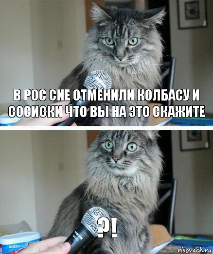 В Рос сие отменили колбасу и сосиски что вы на это скажите ?!, Комикс  кот с микрофоном