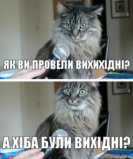 яК ВИ ПРОВЕЛИ ВИХИХІДНІ? А ХІБА БУЛИ ВИХІДНІ?, Комикс  кот с микрофоном