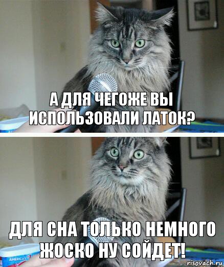 а для чегоже вы использовали латок? для сна только немного жоско ну сойдет!, Комикс  кот с микрофоном