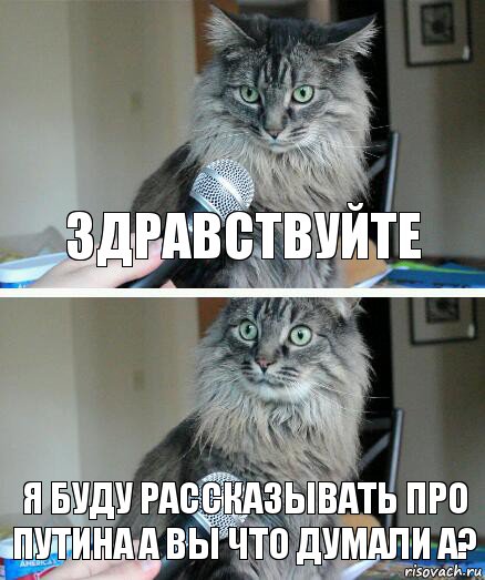 Здравствуйте я буду рассказывать про ПУТИНА А ВЫ ЧТО ДУМАЛИ А?, Комикс  кот с микрофоном