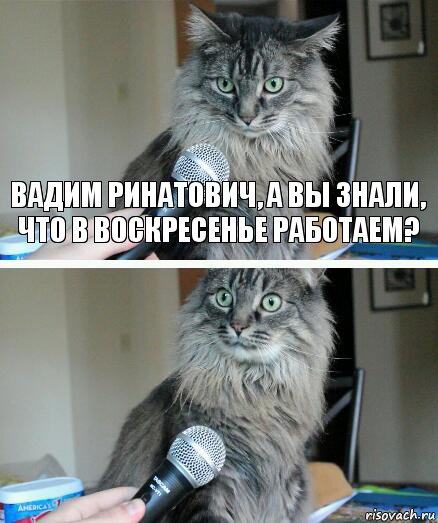 Вадим Ринатович, а вы знали, что в воскресенье работаем? , Комикс  кот с микрофоном