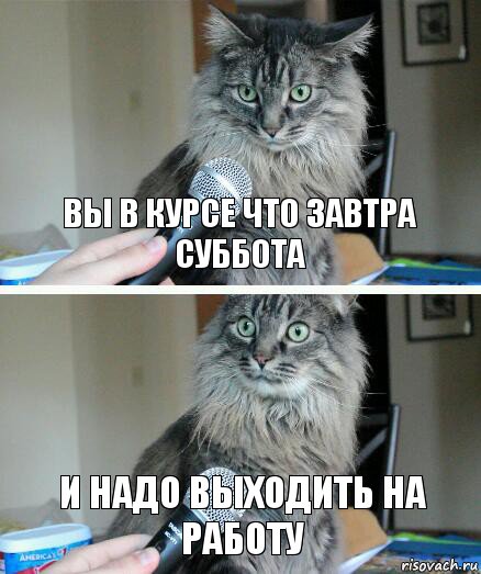 Вы в курсе что завтра суббота и надо выходить на работу, Комикс  кот с микрофоном