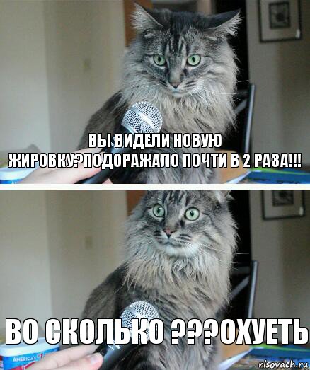 Вы видели новую жировку?Подоражало почти в 2 раза!!! Во сколько ???Охуеть, Комикс  кот с микрофоном