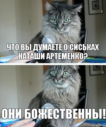 что вы думаете о сиськах Наташи Артеменко? они божественны!, Комикс  кот с микрофоном