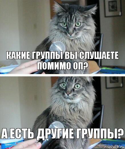 Какие группы вы слушаете помимо ОП? А есть другие группы?, Комикс  кот с микрофоном