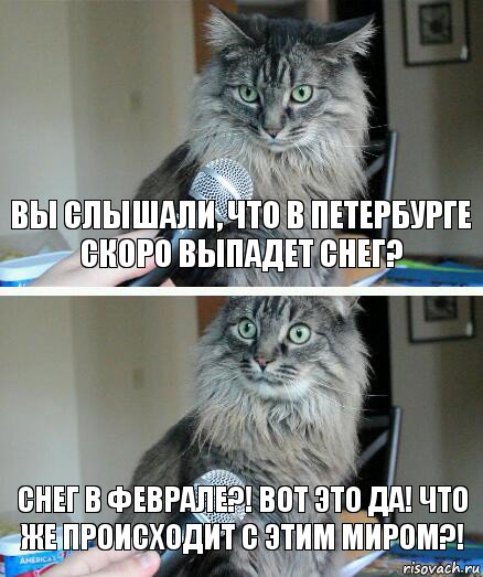 Вы слышали, что в Петербурге скоро выпадет снег? Снег в феврале?! Вот это да! Что же происходит с этим миром?!, Комикс  кот с микрофоном