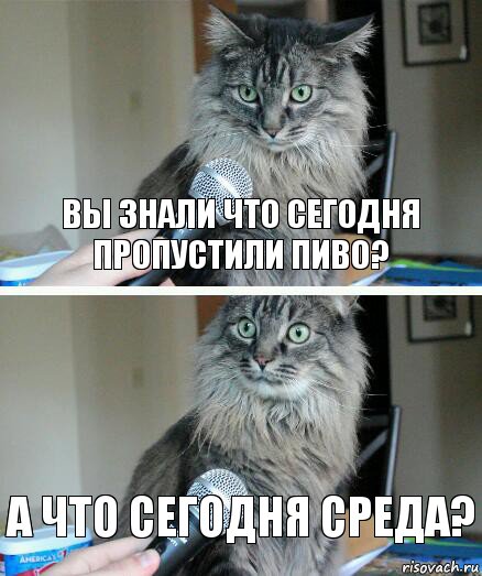 Вы знали что сегодня пропустили ПИВО? а что сегодня среда?, Комикс  кот с микрофоном