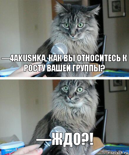 —4akushka, как вы относитесь к росту вашей группы? —Ждо?!, Комикс  кот с микрофоном