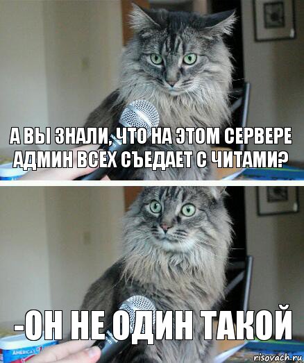 А вы знали, что на этом сервере админ всех съедает с читами? -он не один такой, Комикс  кот с микрофоном