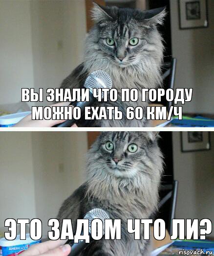 вы знали что по городу можно ехать 60 км/ч это задом что ли?, Комикс  кот с микрофоном