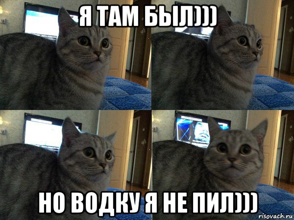 я там был))) но водку я не пил))), Мем  Кот в шоке