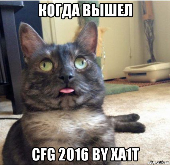 когда вышел cfg 2016 by xa1t, Мем   Кот завис