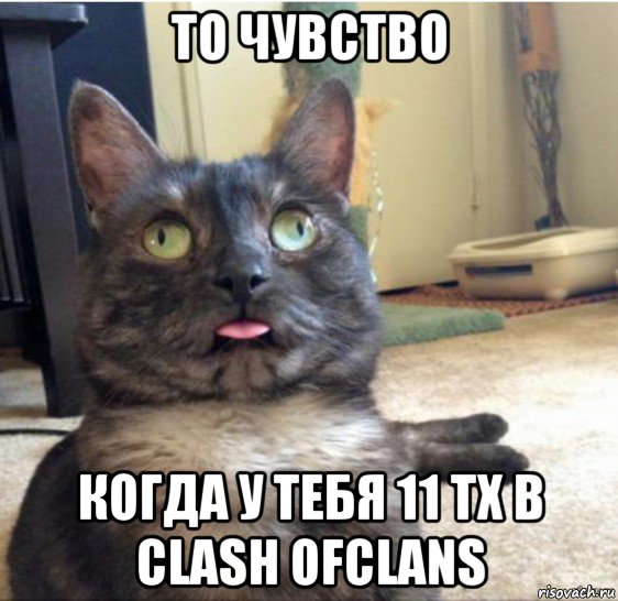 то чувство когда у тебя 11 тх в clash ofclans, Мем   Кот завис