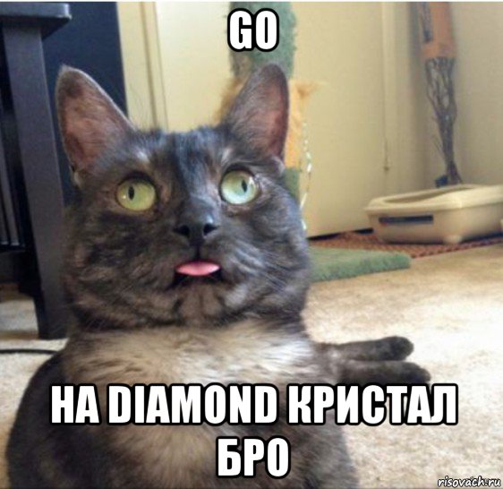 go на diamond кристал бро, Мем   Кот завис