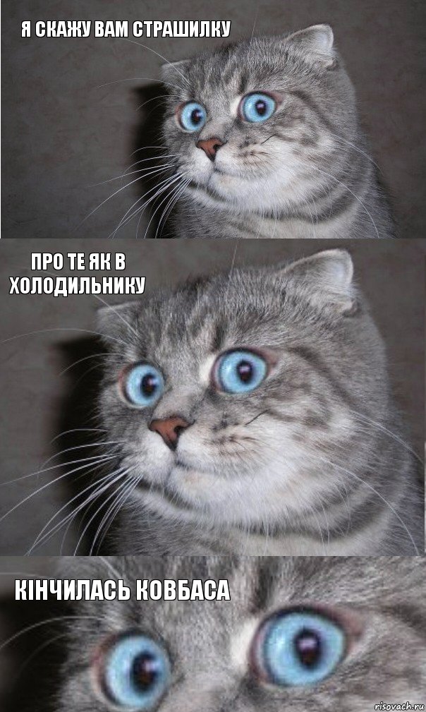 Я скажу вам страшилку про те як в холодильнику КІНЧИЛАСЬ КОВБАСА, Комикс  котейка