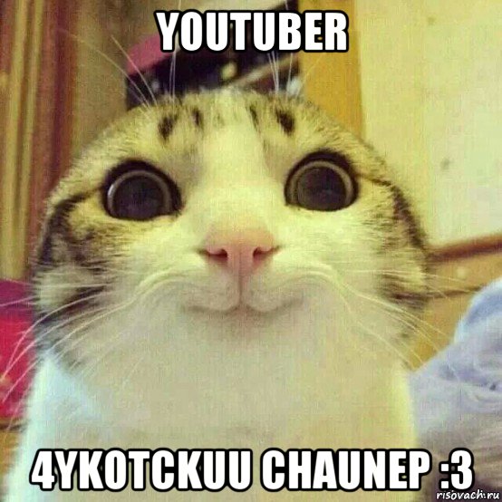 youtuber 4ykotckuu chaunep :3, Мем       Котяка-улыбака