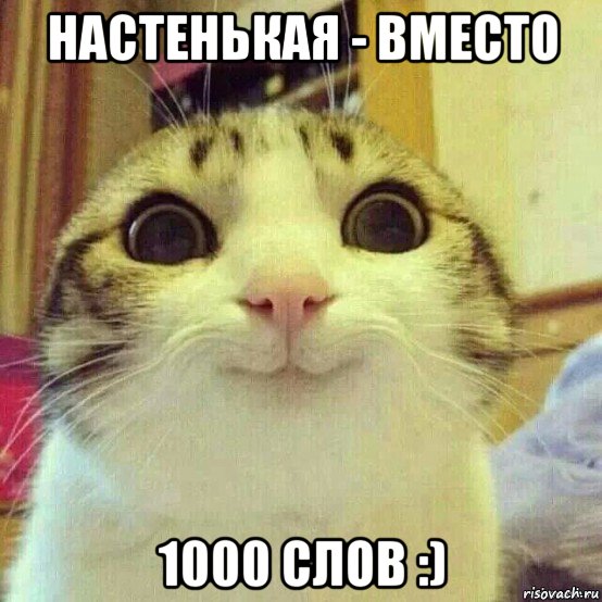 настенькая - вместо 1000 слов :), Мем       Котяка-улыбака