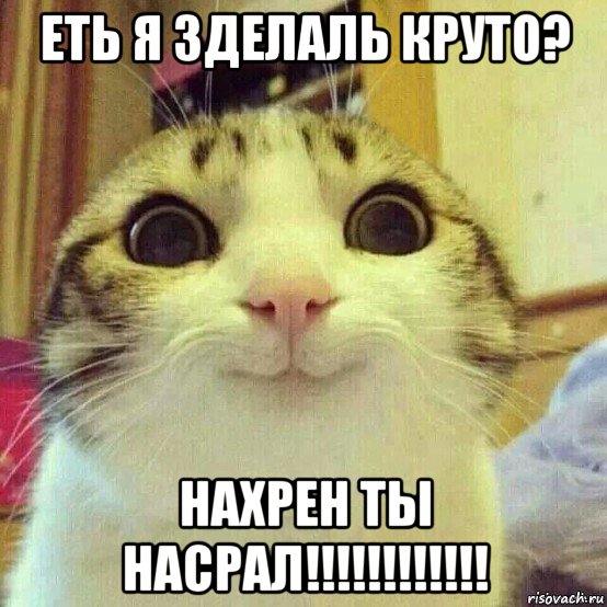 еть я зделаль круто? нахрен ты насрал!!!!!!!!!!!!, Мем       Котяка-улыбака