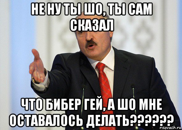 не ну ты шо, ты сам сказал что бибер гей, а шо мне оставалось делать??????, Мем лукашенко