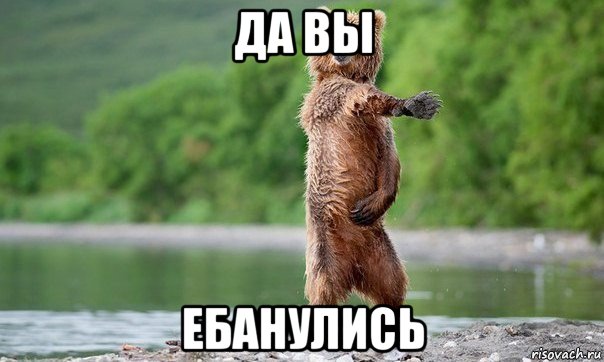 да вы ебанулись