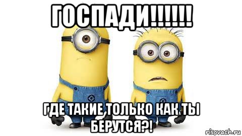 госпади!!!!!! где такие только как ты берутся?!