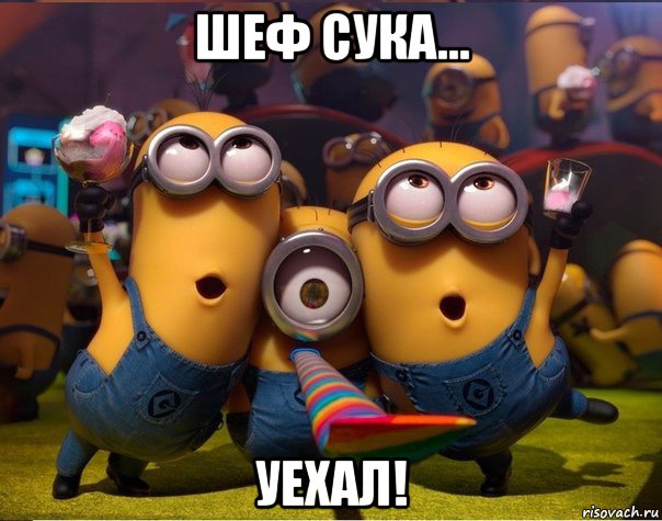 шеф сука... уехал!, Мем   миньоны