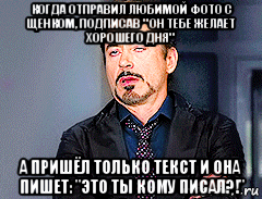 когда отправил любимой фото с щенком, подписав " он тебе желает хорошего дня" а пришёл только текст и она пишет: "это ты кому писал?!", Мем мое лицо когда