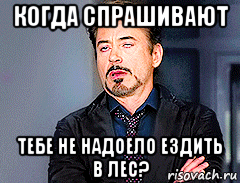 когда спрашивают тебе не надоело ездить в лес?, Мем мое лицо когда