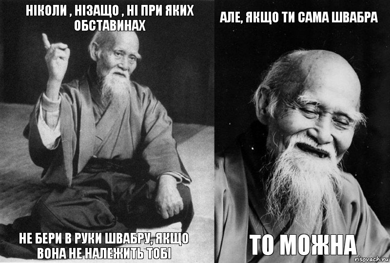 Ніколи , нізащо , ні при яких обставинах НЕ БЕРИ В РУКИ ШВАБРУ, якщо вона не належить тобі але, якщо ти сама швабра то можна, Комикс Мудрец-монах (4 зоны)