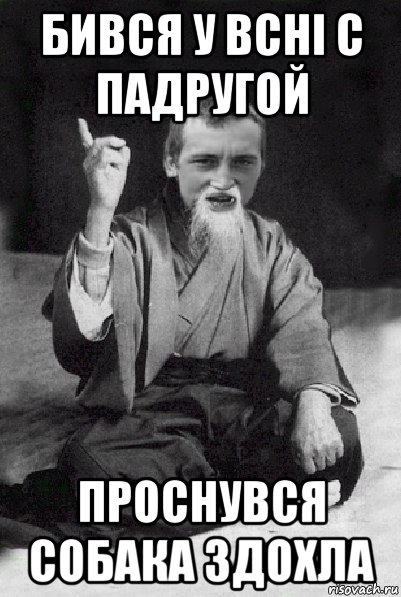 бився у всні с падругой проснувся собака здохла, Мем Мудрий паца