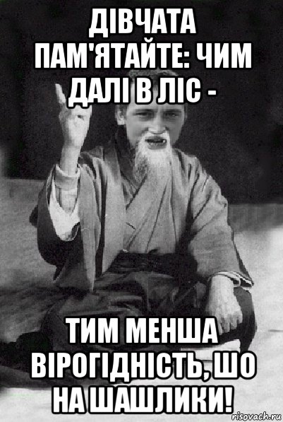 дівчата пам'ятайте: чим далі в ліс - тим менша вірогідність, шо на шашлики!, Мем Мудрий паца