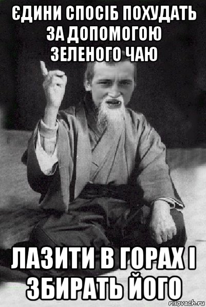 єдини спосіб похудать за допомогою зеленого чаю лазити в горах і збирать його, Мем Мудрий паца