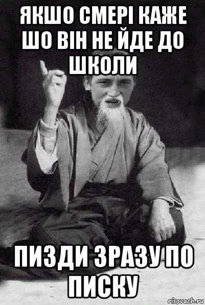 якшо смері каже шо він не йде до школи пизди зразу по писку, Мем Мудрий паца