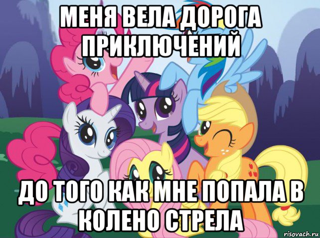 меня вела дорога приключений до того как мне попала в колено стрела, Мем My little pony