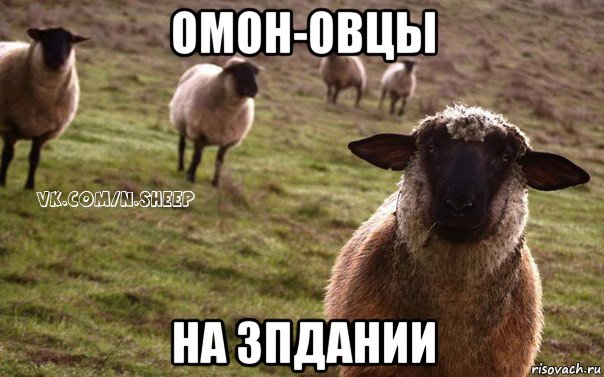 омон-овцы на зпдании, Мем  Наивная Овца