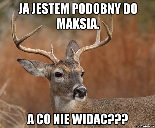 ja jestem podobny do maksia. a co nie widac???, Мем  Наивный Олень v2