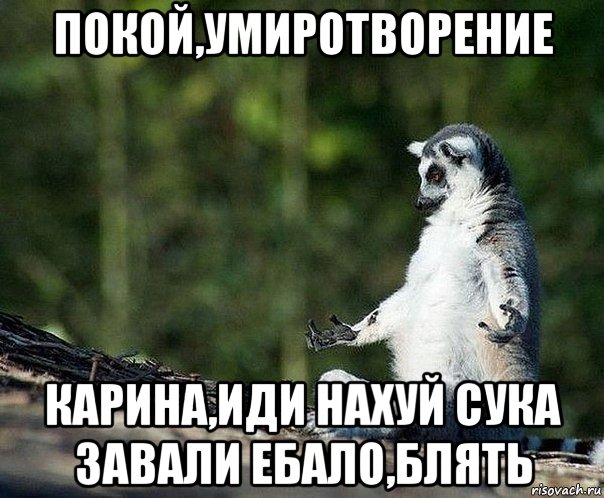 покой,умиротворение карина,иди нахуй сука завали ебало,блять, Мем не узбагоюсь