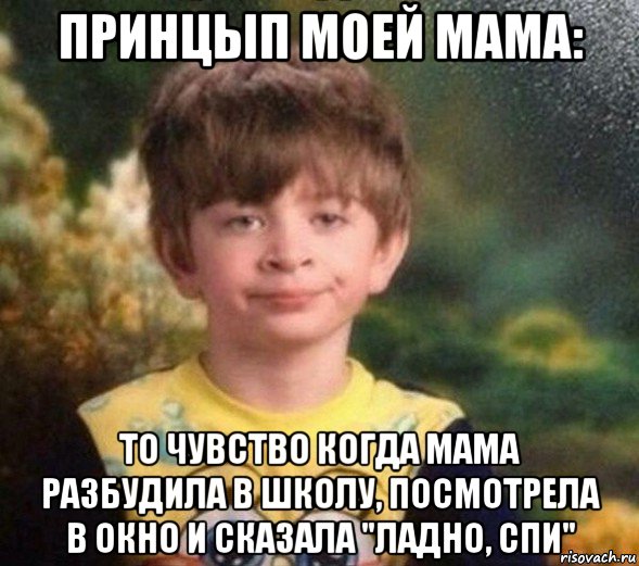 принцып моей мама: то чувство когда мама разбудила в школу, посмотрела в окно и сказала "ладно, спи", Мем Недовольный пацан