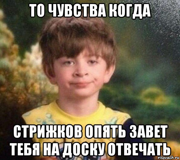 то чувства когда стрижков опять завет тебя на доску отвечать, Мем Недовольный пацан