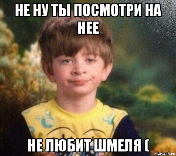 не ну ты посмотри на нее не любит шмеля (, Мем Недовольный пацан